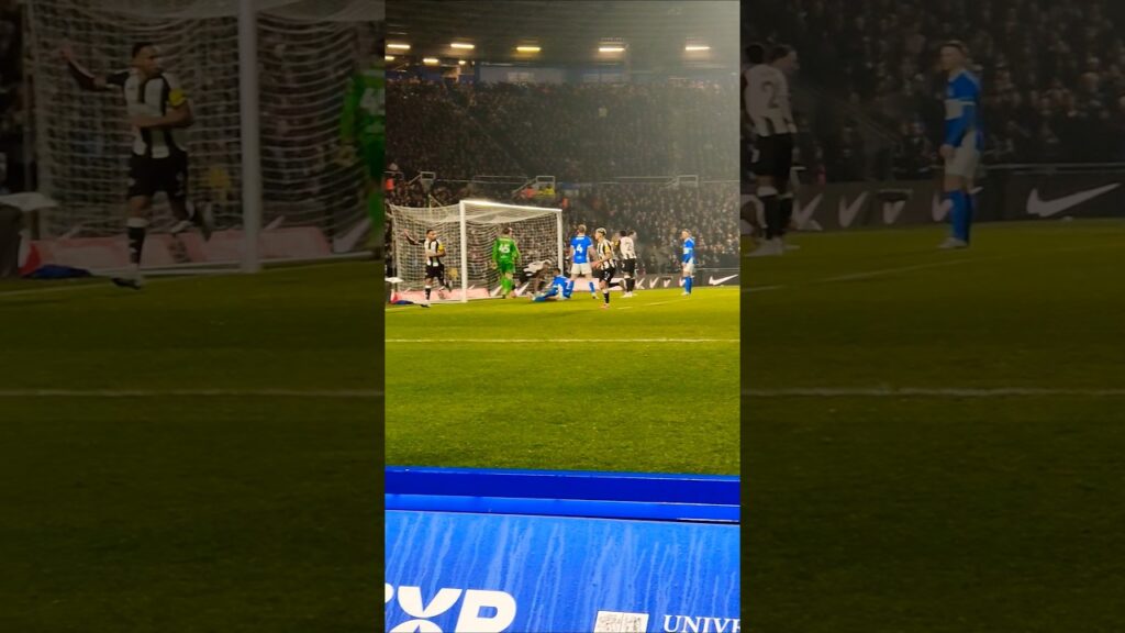 Callum Wilson scores his first goal for Newcastle United in 9 months #football #facup #shorts