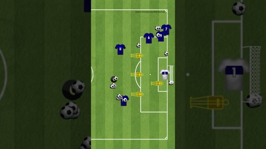 France - individual finishing drill by Didier Deschamps