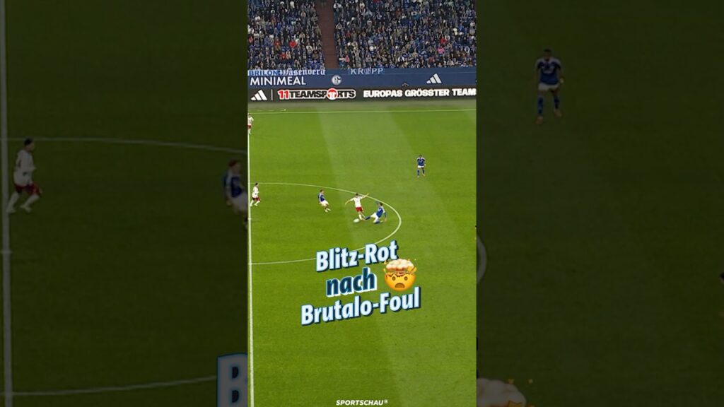 2. Minute: Rot für Schalkes Karaman💥 | Sportschau Fußball  #shorts