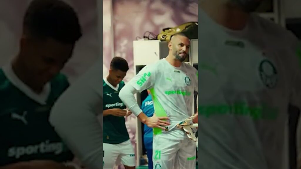 WEVERTON DEU AULA 🐷👀