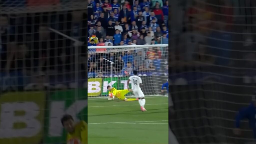 COURTOIS, COURTOIS, COURTOIS! 🧤