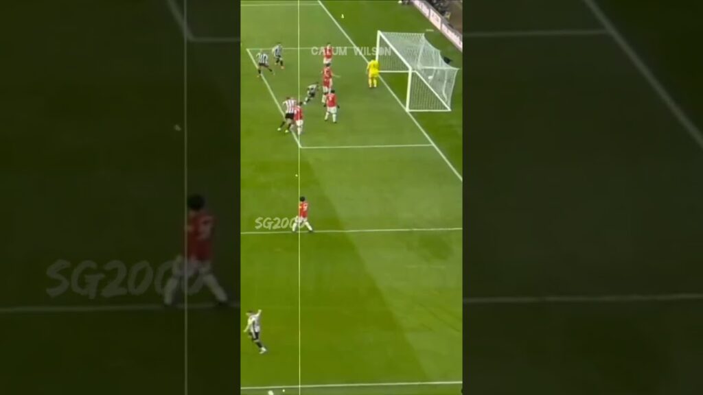 CALUM WILSON | Newcastle united 2022/23 #videoshorts #footballshorts #shorts