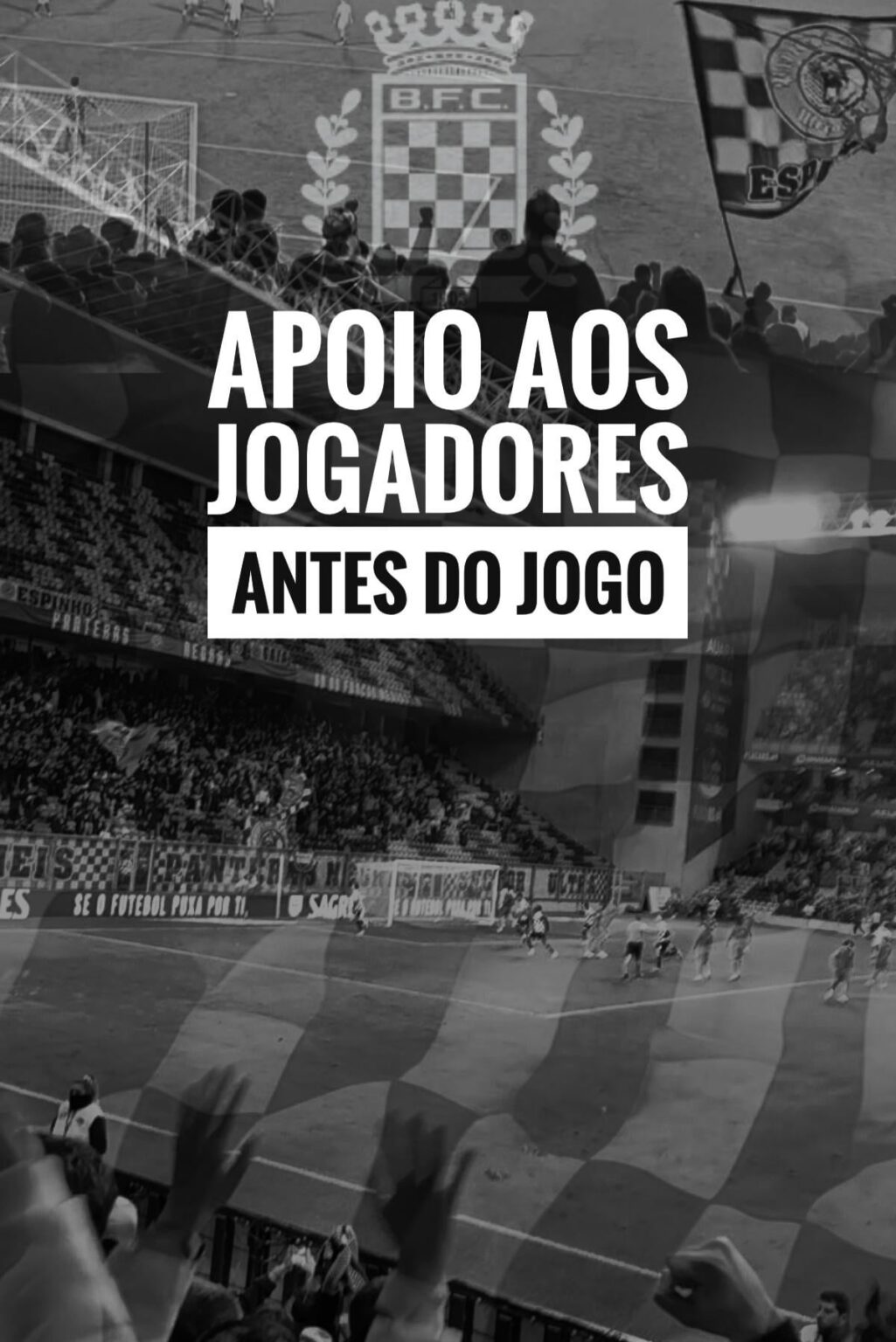 Apoio aos jogadores / Pela bandeira pt2