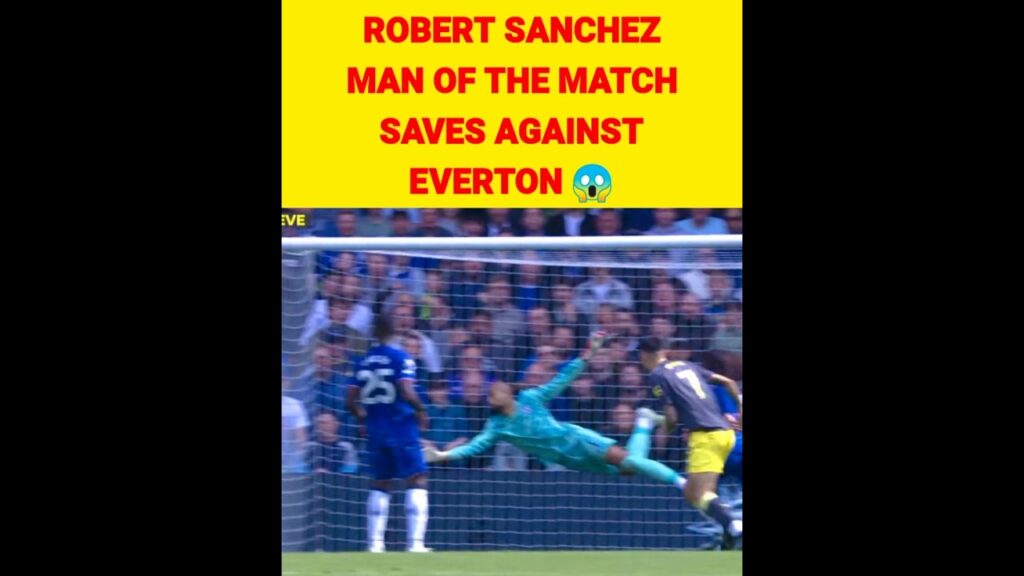 robert sanchez motm saves vs everton 😱