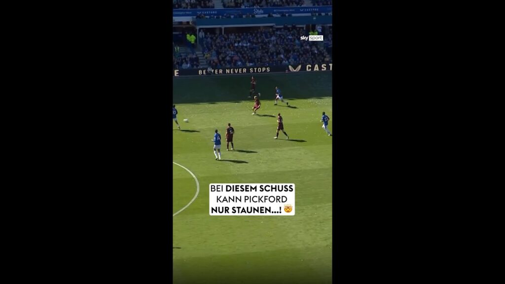 Was ein Tor von Enciso 😱🚀 Da gibt es sogar Probs von Jordan Pickford 👏🏼