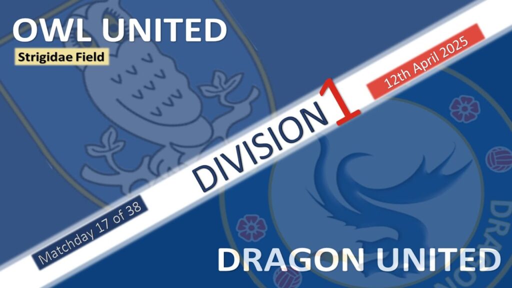 2025 - Division One, matchday 17 - Owl United v Dragon United