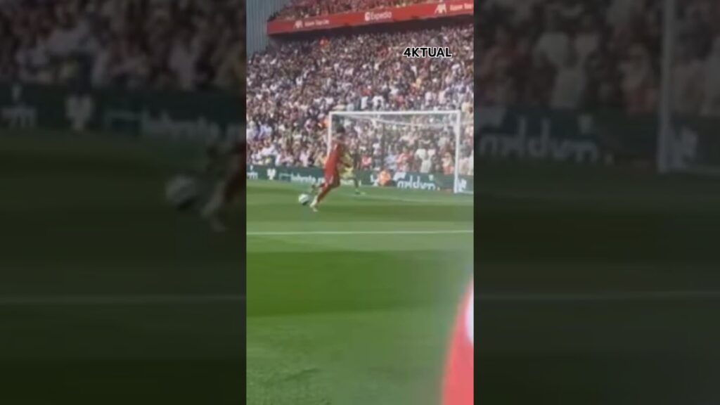 Gol Cody Gakpo & Luiz Diaz Arsenal