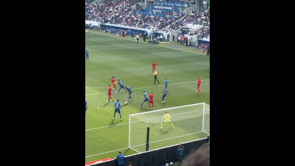 GOAL! Serge Gnabry - Hoffenheim vs Bayern - Bundesliga 2024/2025