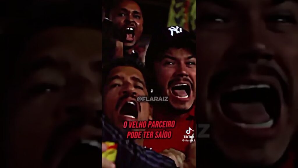 eu gostaria de ver Everton Ribeiro de volta