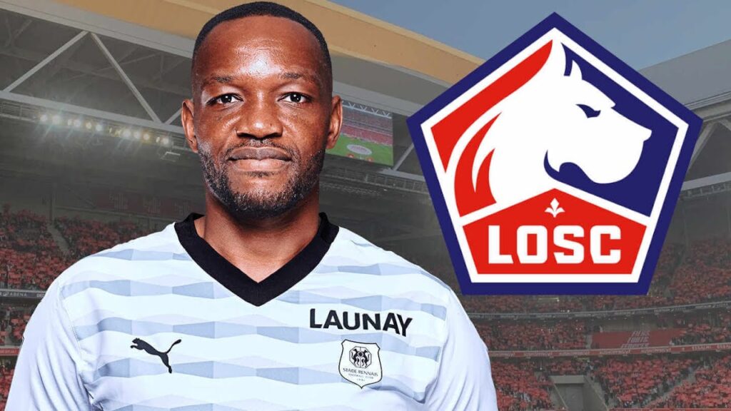 Steve Mandanda au LOSC ?