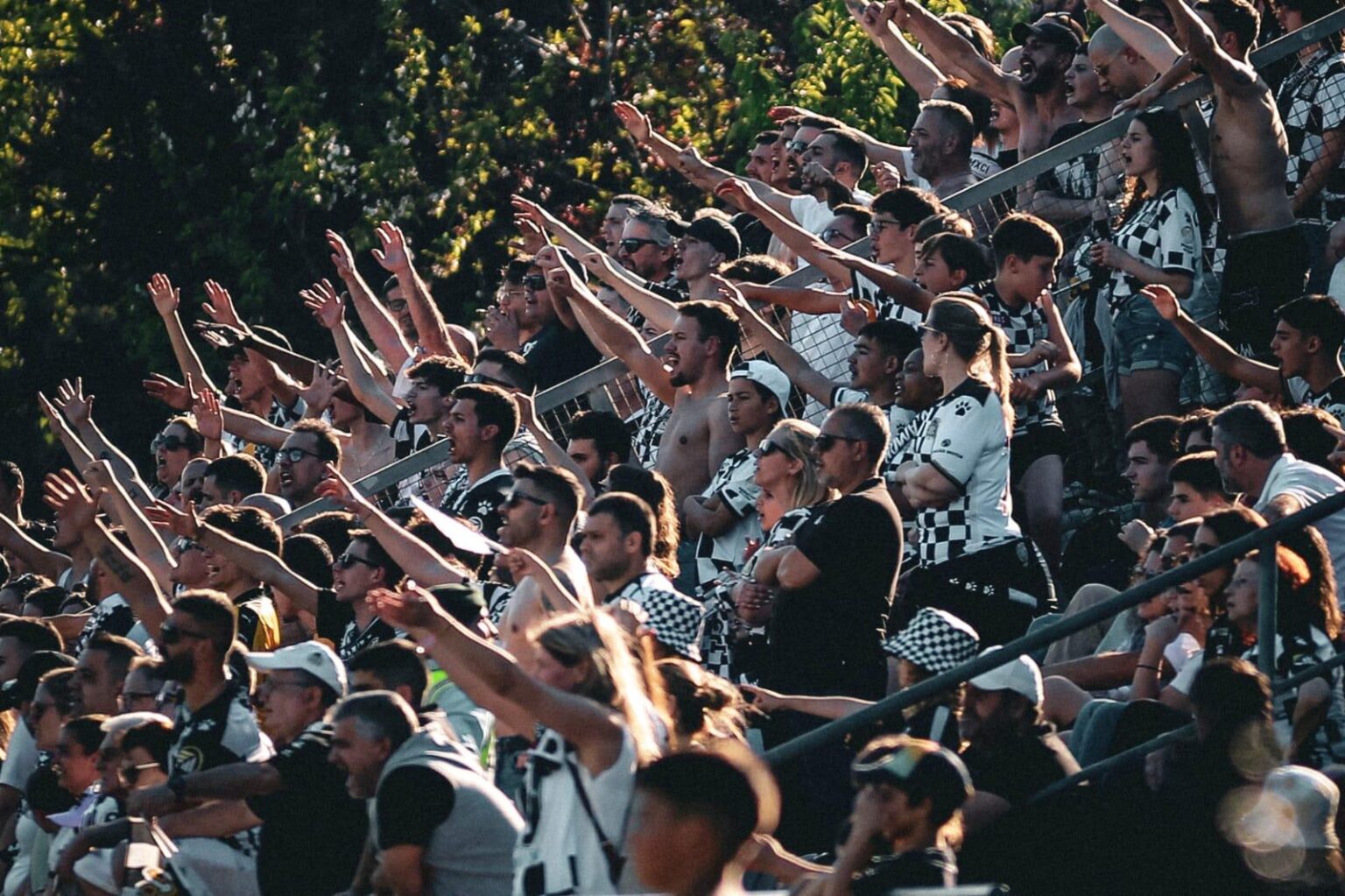 Uma verdadeira força do acreditar! Primeira remessa esgotada.