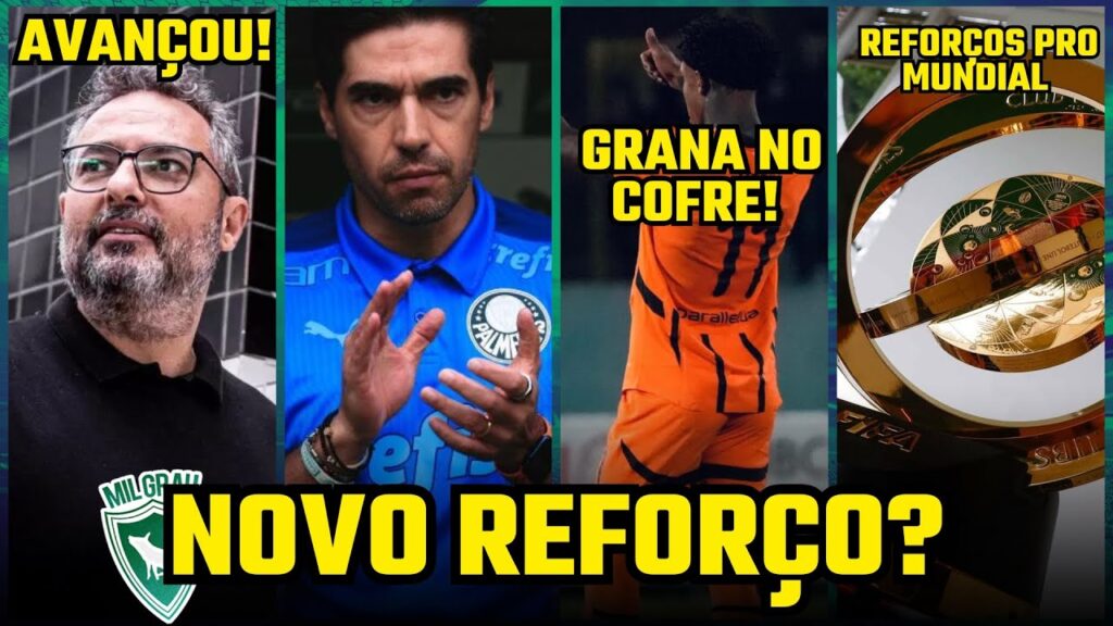VERDÃO SONDA NOVO GOLEIRO PARA O LUGAR DE WEVERTON E SANTOS QUER JOGADOR DO PALMEIRAS VERDÃO SONDA NOVO GOLEIRO PARA O LUGAR DE WEVERTON E SANTOS QUER JOGADOR DO PALMEIRAS