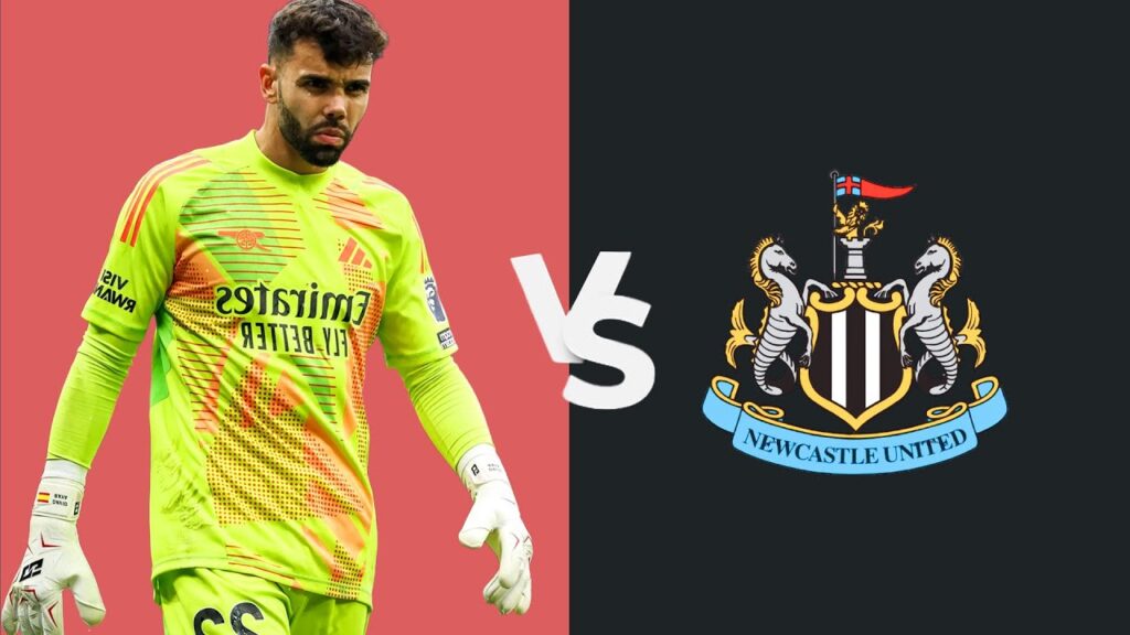 David Raya vs Newcastle | All saves & passes! | Premier League Matchday 37 (18/05/2025)