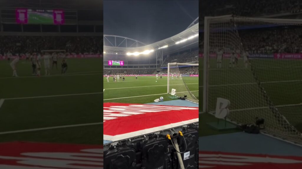 GOOOOLLLL! ALEX TELLES! #botafogo #camisa7 #shorts #brasileirão