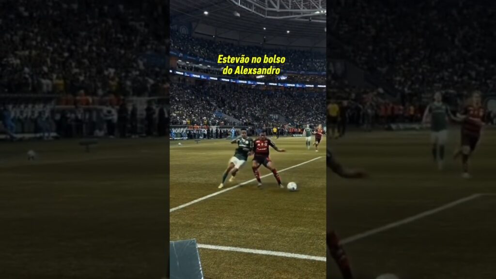 ESTEVÃO NO BOLSO DO ALEXSANDRO/ PALMEIRAS X FLAMENGO