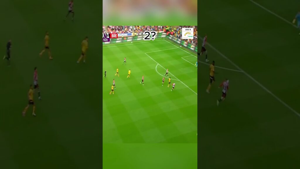 Y. Pino M. Munetsi Golleri