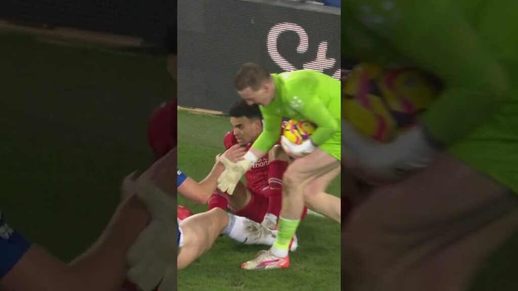 Jordan Pickford unbelievable saves 🤩 best of England's No.1 in 24/25 #everton #shorts #goalkeeper