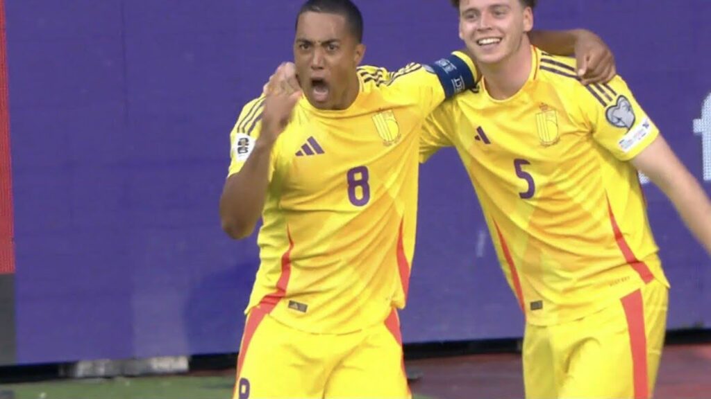 Youri Tielemans Goal,Belgium vs Wales (2-0) All Goals and Extended Highlights