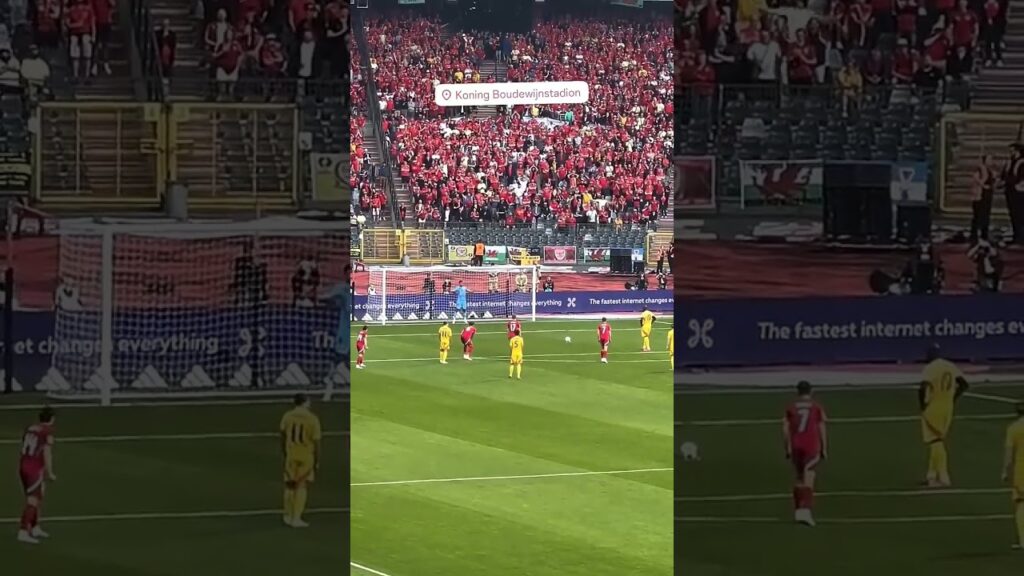 Belgium vs Wales, Romelu Lukaku penalty goal #fyp #shorts #shortvideo
