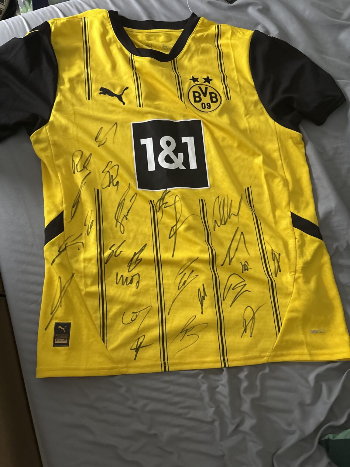 Signature Identification