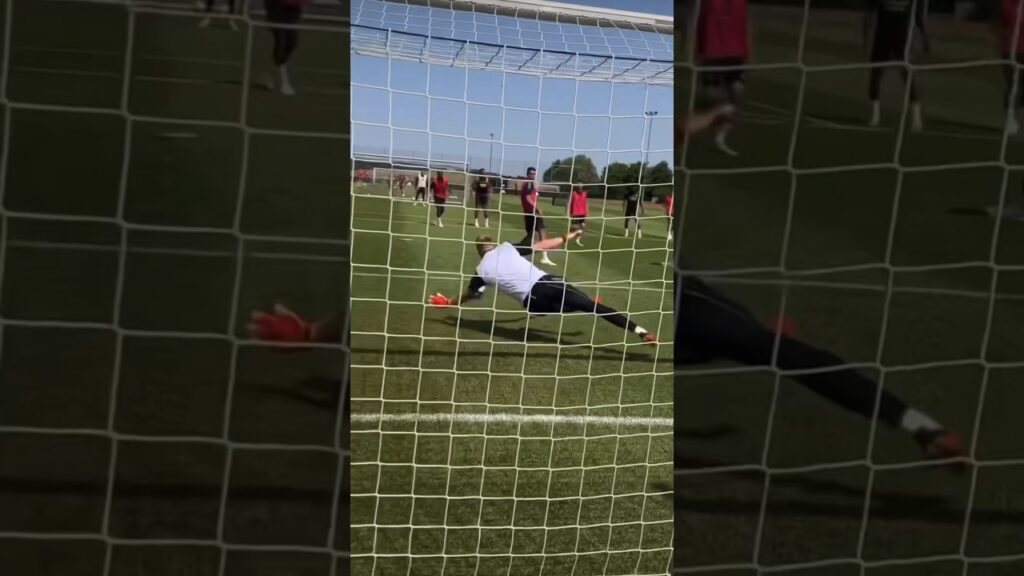 Aaron Ramsdale Brilliant Saves 🔥 #shorts