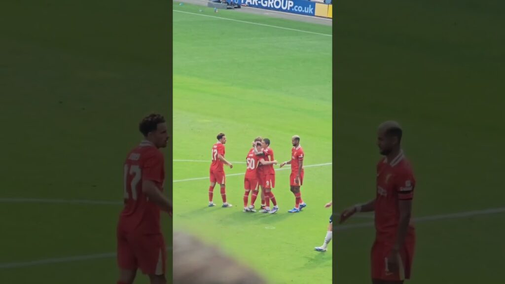 Darwin Núñez and Cody Gakpo both honored Diogo Jota after scoring❤️ #viralvideo #shorts #shortvideo