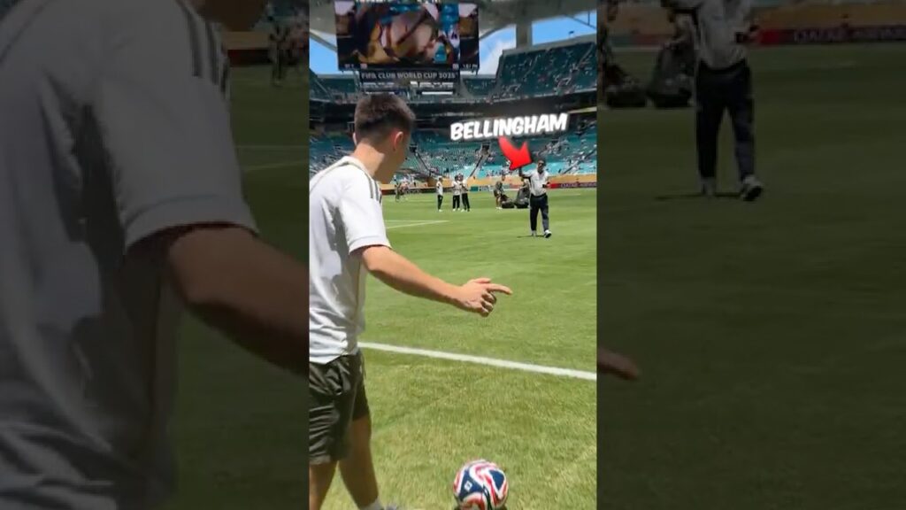 Puedo Darle un Pase a Bellingham?