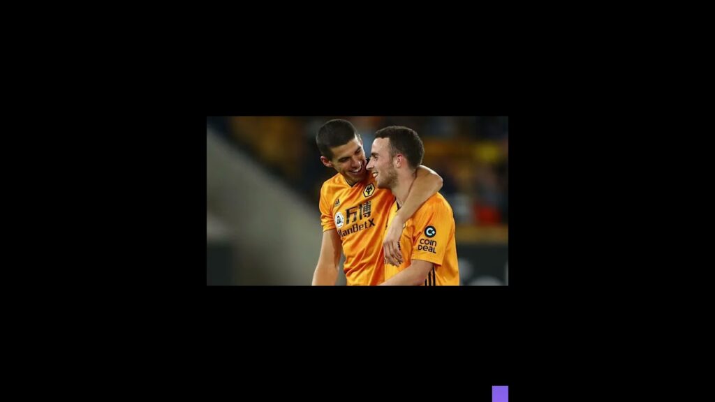 Best Friends Jota And Rúben Neves