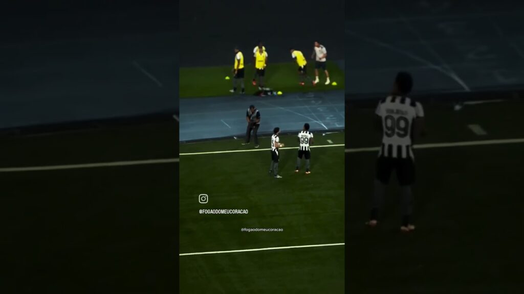 GOL DO ALEX TELLES PELO BOTAFOGO