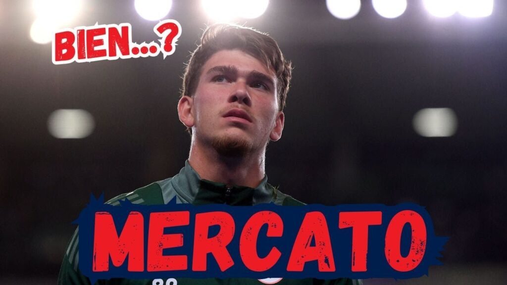 👀 PSG - 1ERE RECRUE, HERNANDEZ, MOSCARDO...Point MERCATO🔴🔵