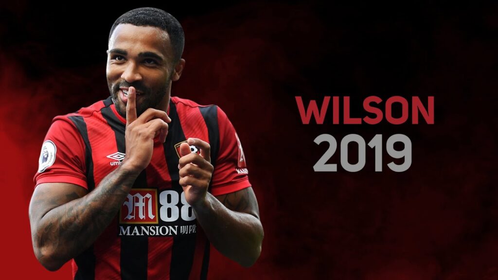 Callum Wilson 2019 - skills & goals | top Bournemouth stricker  | HD