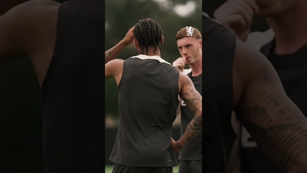 Joao Pedro Focus 🔎