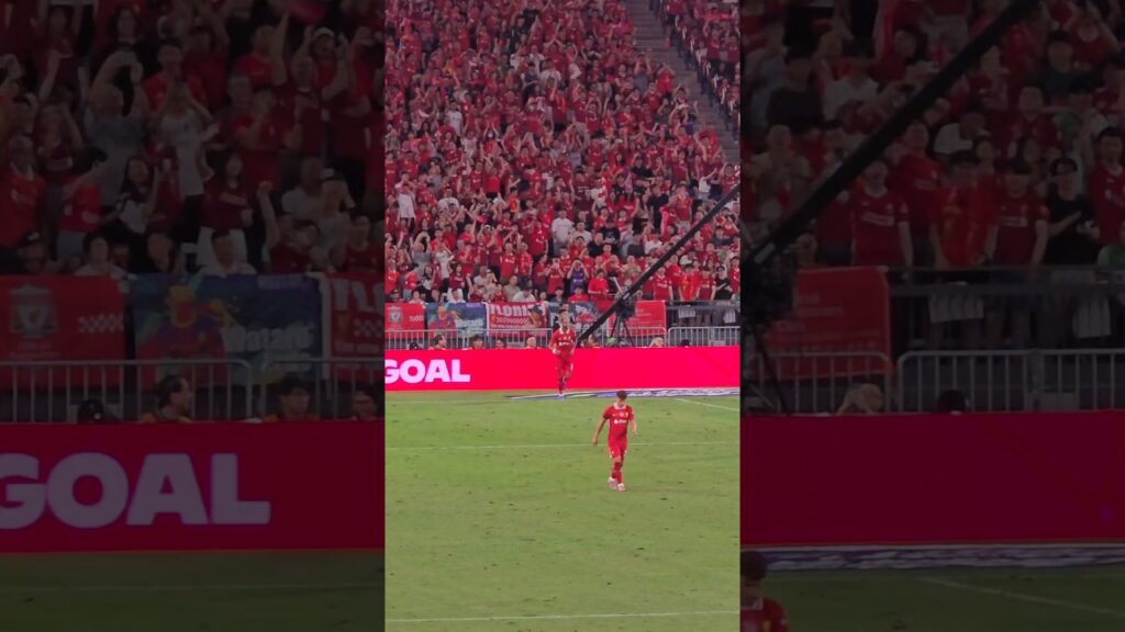 Cody Gakpo goal 🔥 #shortvideo #shorts #viralvideo #liverpool