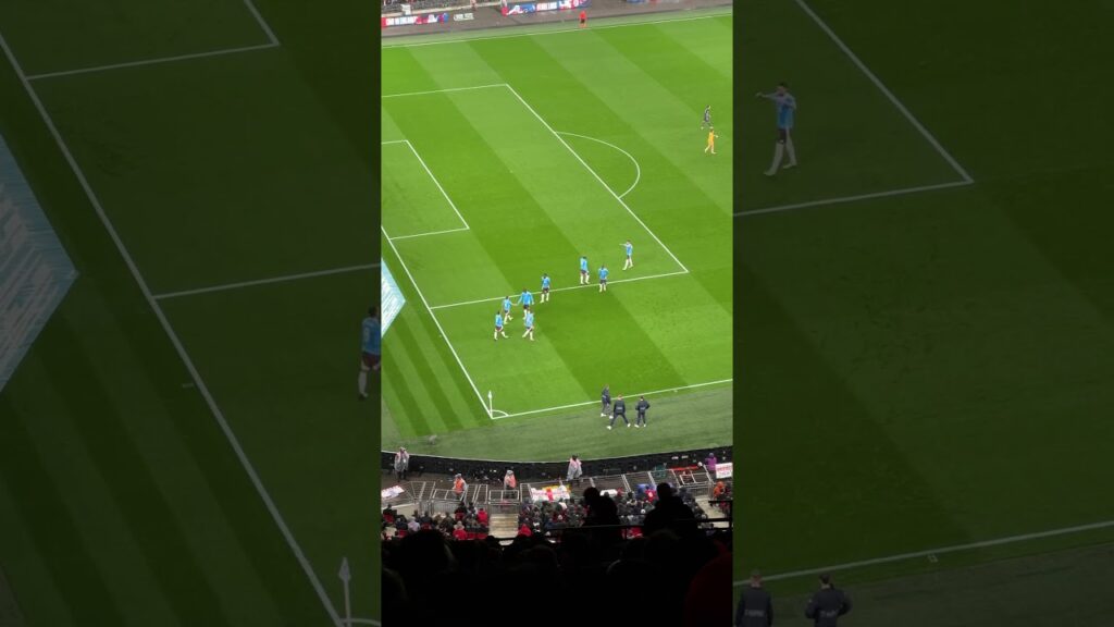 [INTERNATIONAL FRIENDLIES] England vs Belgium / Youri Tielemans first goal celebration (26/3)