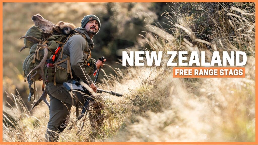 Free Range Red Stag Hunting in New Zealand Teaches VALUABLE Lesson