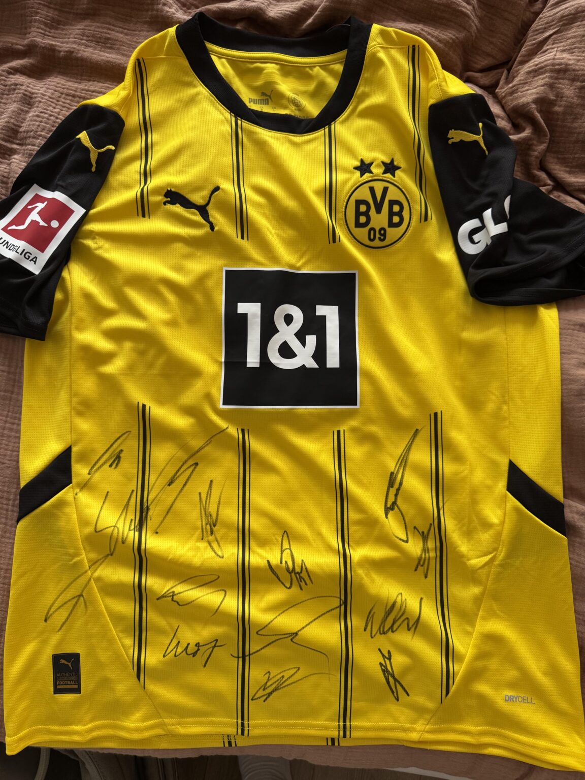 I won this team signed jersey in a raffle. Can you help me id the autographs?