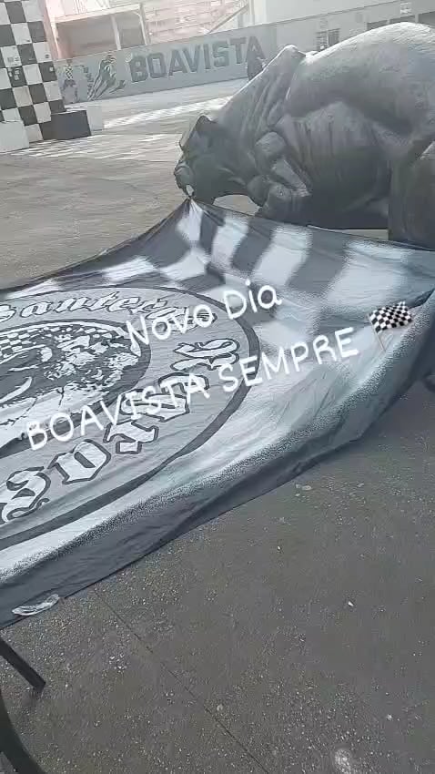 Boavisteiros é suposto aparecer?