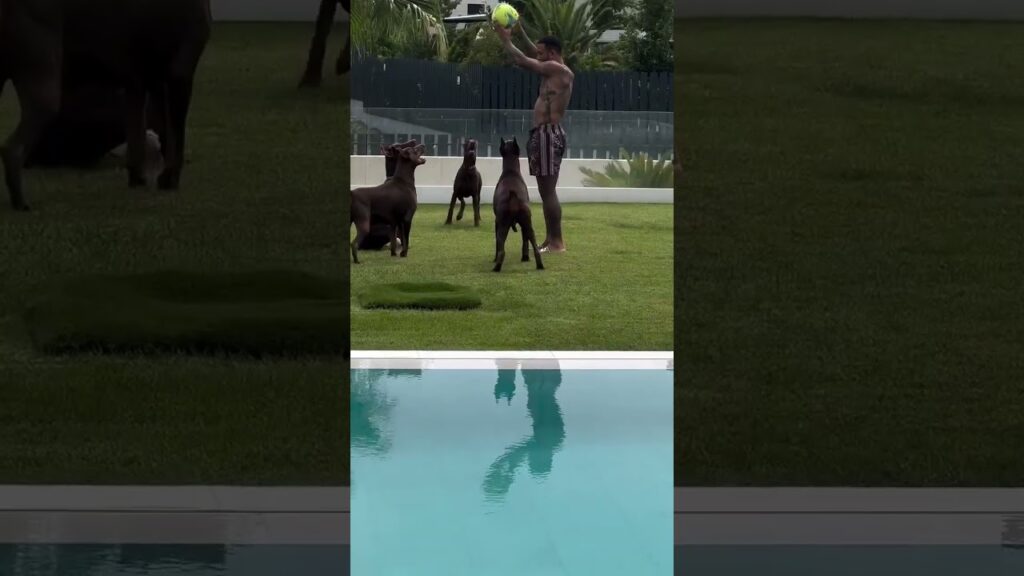 Memphis depay aproveitando com seus filhos. #corinthians #shorts #fy #fyp #memphis #futebol