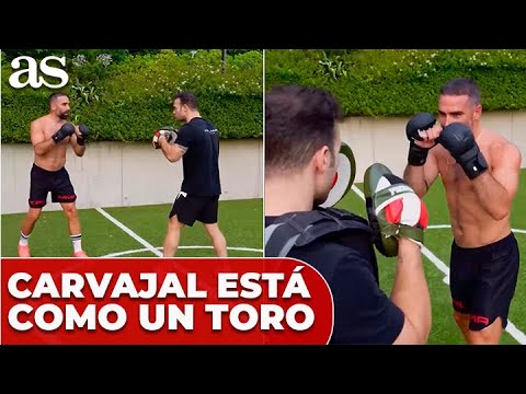 CARVAJAL vuelve a ENSEÑAR sus HABILIDADES de BOXEO y DEMUESTRA que está como un TORO