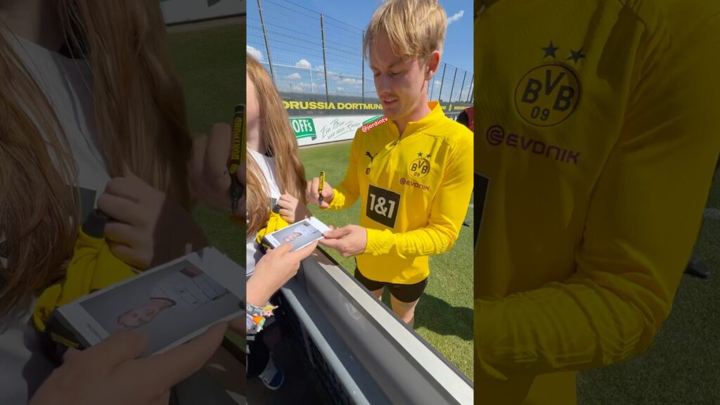 Julian Brandt ist so sympathisch 🤗 #football #dortmund #bvb #julianbrandt