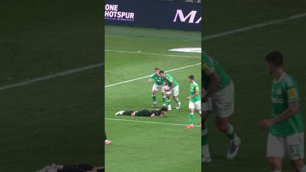 넘어진 손흥민 일으켜 주는 트리피어⚽Former teammate Kieran Trippier lifts up Son Heung-min who fell