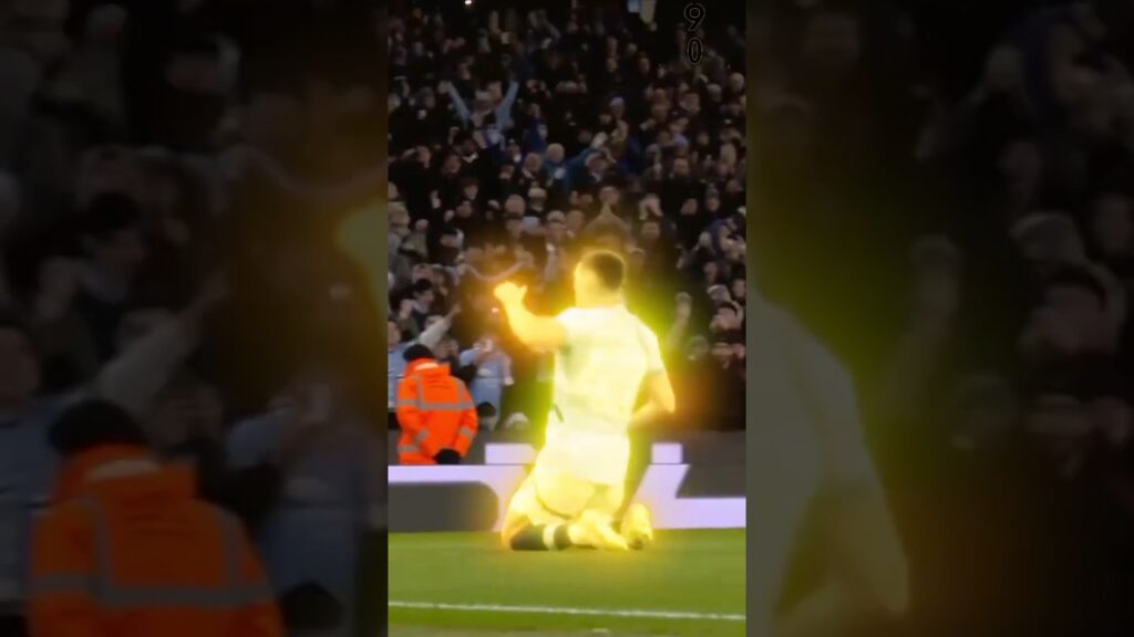 The best goals in  favourite #manchestercity