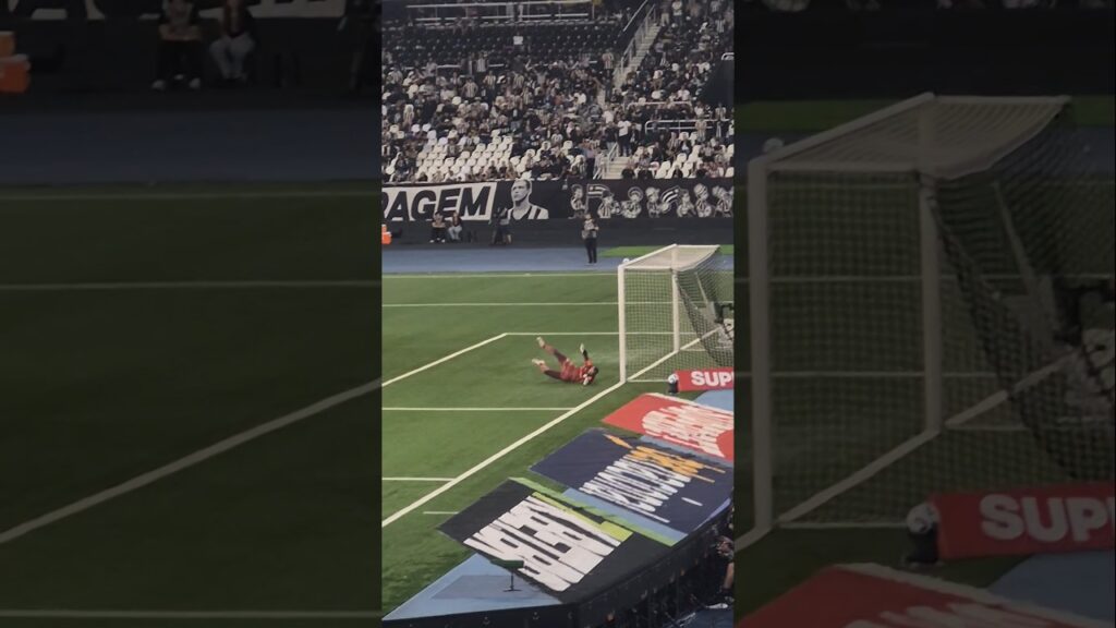 CHUTE DE ALEX TELLES PARA FORA: BOTAFOGO 0X1 PALMEIRAS | BRASILEIRÃO 2025