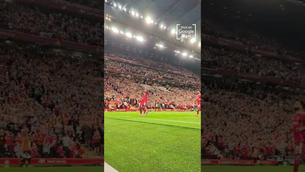 Cody Gakpo doing Cody Gakpo things