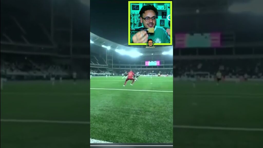 DEFESA ABSURDA DO WEVERTON CONTRA O BOTAFOGO