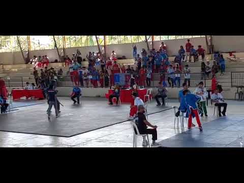 Modern Arnis Padded Stick Fighting Tournament at BOHOL, Kali Arnis Sparring, Jose Bernard Mapula Art