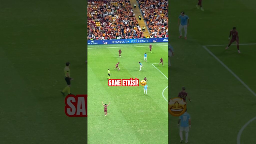 💫Leroy Sane Başka Bir Seviye