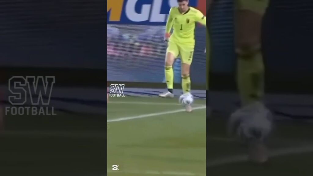 Courtois Rare Moments