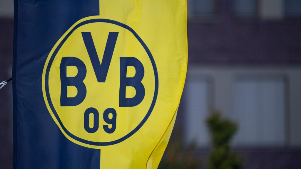 WDR-Sport: Wegen Aufkleber - Borussia Dortmund geht gegen AfD-Wahlwerbung vor