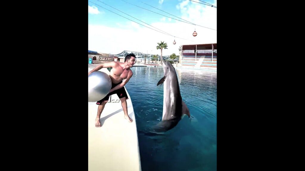 Ronaldo X Dolphin 🐬